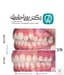 ارتودنسی دکتر رویا حامدی