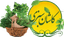 کاشان سبزی